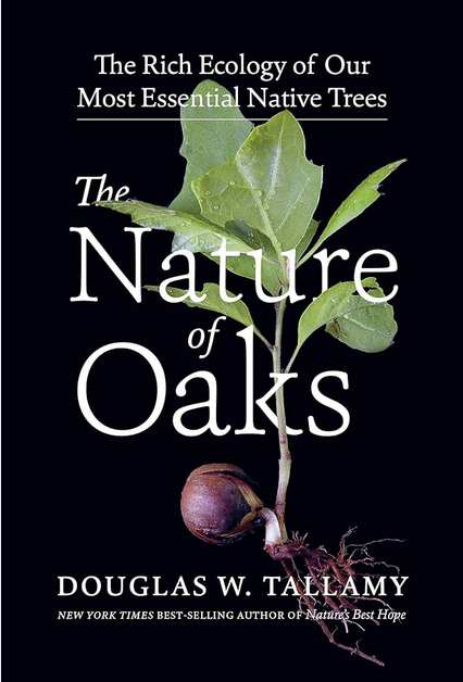 The Nature of Oaks